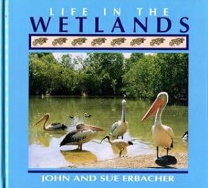 Seller image for Life in the wetlands. for sale by Lost and Found Books