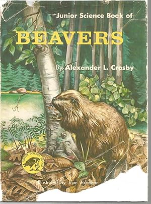 Junior Science Book of Beavers