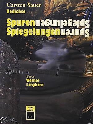 Imagen del vendedor de Spuren Spiegelungen a la venta por Leserstrahl  (Preise inkl. MwSt.)