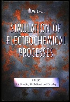 Simulation of Electrochemical Processes