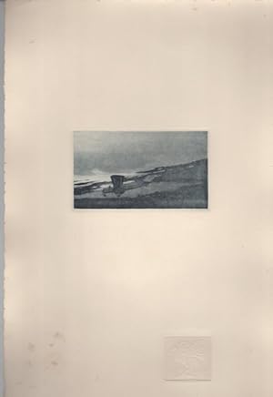 Imagen del vendedor de Bombardiere Caproni in atterraggio (riquadro centrale di: Trittico aereo). a la venta por Studio Bibliografico Adige