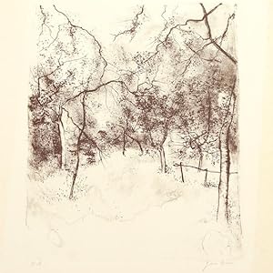 Seller image for Des bouleaux en hiver. Lithographie. for sale by Librairie de l'Amateur