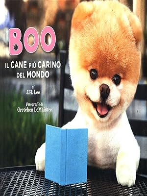 Boo il cane piu' bello del mondo