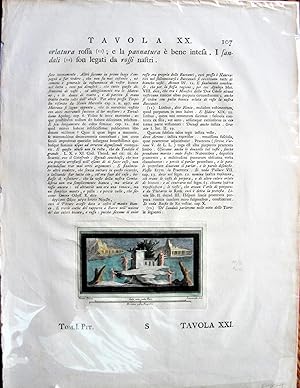 Seller image for Antique Copperplate Engraving: Tavola XXXI for sale by Ken Jackson