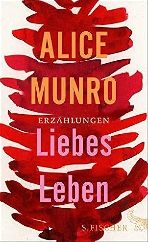 Liebes Leben. 14 Erzählungen. Aus dem Englischen von Heidi Zerning. Originaltitel: Dear Life.