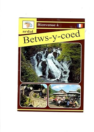 Seller image for Bienvenue - Betws-y-Coed, Pays de Galles. for sale by Gwyn Tudur Davies