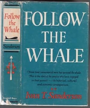 Follow The Whale