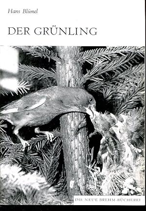 Bild des Verkufers fr Der Grnling (Carduelis chloris) (Die Neue Brehm-Bcherei 490). 2., erg. Auflage. zum Verkauf von Antiquariat & Buchhandlung Rose