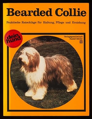 Bearded Collie.