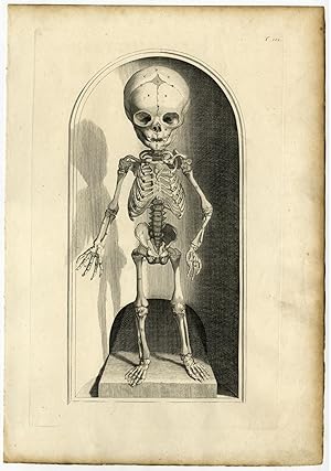 2 Medical Antique Prints-T.101-102.-HUMAN SKELETON-BABY-Bidloo-Lairesse-1685