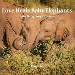 Seller image for Love Heals Baby Elephants; Rebirthing Ivory Orphans (Paperback or Softback) for sale by BargainBookStores