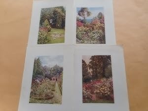 Image du vendeur pour Gardens of England mis en vente par David Pearson