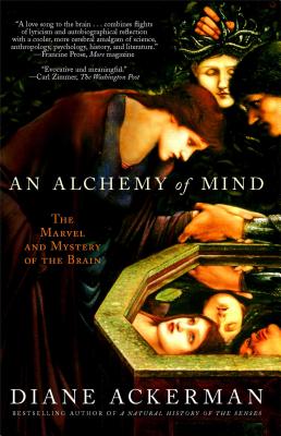 Imagen del vendedor de An Alchemy of Mind: The Marvel and Mystery of the Brain (Paperback or Softback) a la venta por BargainBookStores