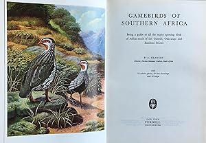 Imagen del vendedor de Gamebirds of southern Africa a la venta por Acanthophyllum Books