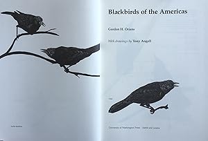 Seller image for Blackbirds of the Americas for sale by Acanthophyllum Books