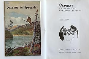 Bild des Verkufers fr Ospreys: a natural and unnatural history zum Verkauf von Acanthophyllum Books