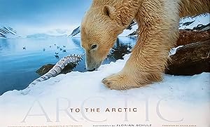 To the Arctic