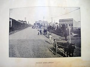 Antigua lámina fotografía - Old plate photography : Avenida Wheelwright - ROSARIO (Argentina). 1900