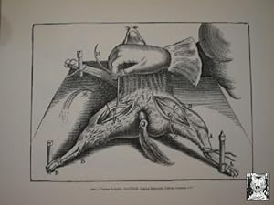 Grabado : Thomae, Anatome. EL GRABADO EN LA HISTORIA DE LA MEDICINA. Fisiologia Lamina I.