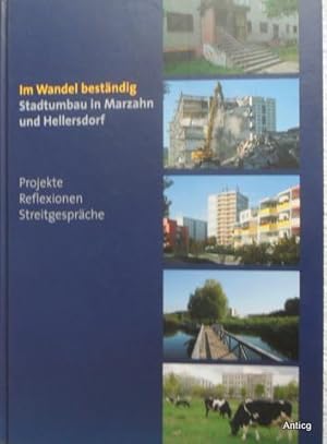 Im Wandel beständig. Stadtumbau in Marzahn und Hellersdorf. Projekte - Reflexionen - Streitgesprä...