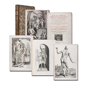 Anatomia corporum humanorum. ab excellentissimis, qui in Europa sunt, artificibus. illustrata. Ac...