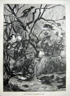 Seller image for Antiguo Grabado - Old Gravure: SIN HOGAR, dibujo de Mara Laux for sale by LIBRERA MAESTRO GOZALBO