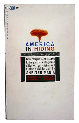 Bild des Verkufers fr America in Hiding zum Verkauf von Black Falcon Books