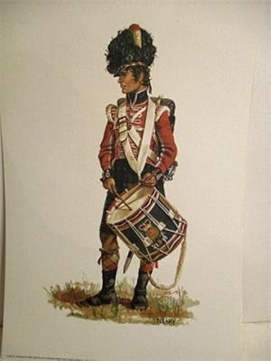 Drummer, 42nd Royal Highland Regiment (Black Watch). Great Britain C. 1815.