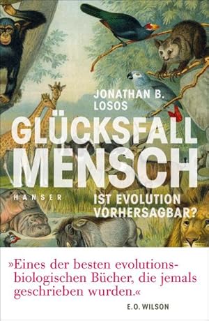 Seller image for Glcksfall Mensch : Ist Evolution vorhersagbar? for sale by AHA-BUCH GmbH