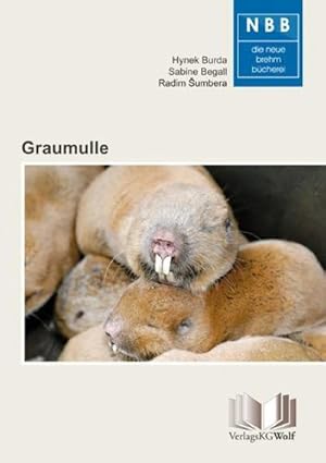 Bild des Verkufers fr Graumulle - Cryptomys und Fukomys : Unterirdisch sozial lebende Stachelschweinverwandte zum Verkauf von AHA-BUCH GmbH