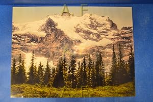 Wengernalp. Jungfrau - 1604. P.Z. // Photochromdruck - Druck nach einer Fotografie.