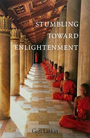 Seller image for STUMBLING TOWARD ENLIGHTENMENT for sale by By The Way Books