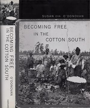 Becoming Free in the Cotton South