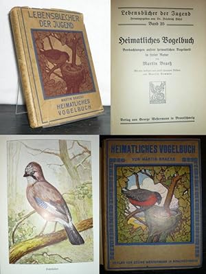 Heimatliches Vogelbuch. Beobachtungen unsrer heimatlichen Vogelwelt in freier Natur von Martin Br...