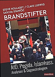 Immagine del venditore per Brandstifter: AfD. Pegida. Islamhass. Analysen & Gegenstrategien venduto da Che & Chandler Versandbuchhandlung