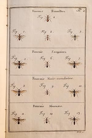 Recherches sur les moeurs des fourmis indigènes, par P. Huber, membre des Sociétés d'Histoire Nat...