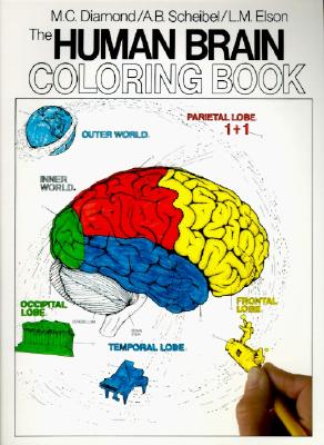 Seller image for The Human Brain Coloring Book (Paperback or Softback) for sale by BargainBookStores