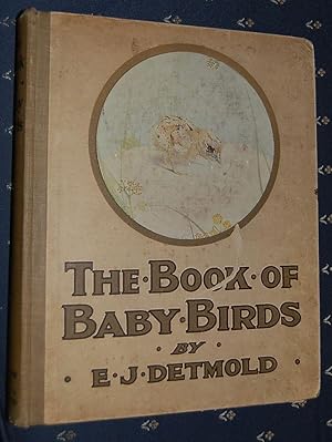 Bild des Verkufers fr The Book of Baby Birds zum Verkauf von Trillium Antiquarian Books