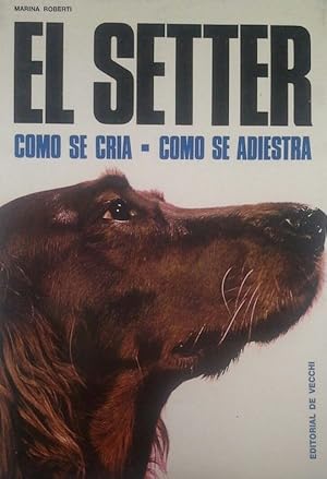 LOS SETTER