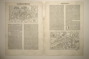 Biblia, niederdeutsch. De ruissegginge Danielis des propheten. Das Buch Daniel (VD 16 B 2839, Sch...