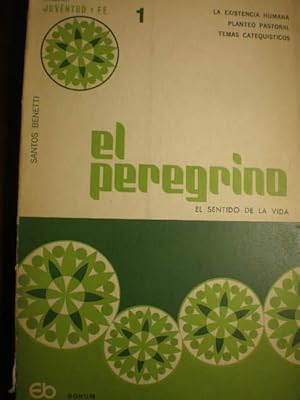 Immagine del venditore per El Peregrino. El sentido de la vida venduto da Librera Antonio Azorn