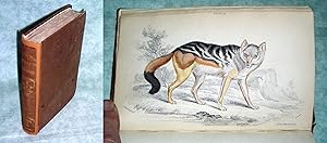 Bild des Verkufers fr Dogs. Canidae or Genus Canis of Authors. Including also the Genera Hyaena and Proteles. Part I. zum Verkauf von Antiquariat  Lwenstein