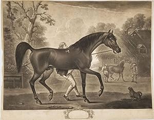 'Blank,' a bay horse, pre-letter mezzotint proof