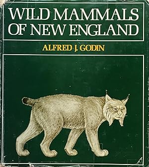 Wild mammals of New England