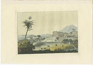 Antique Print of a Sugar Plantation by G. Ferrario (1815)