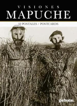Visiones Mapuche