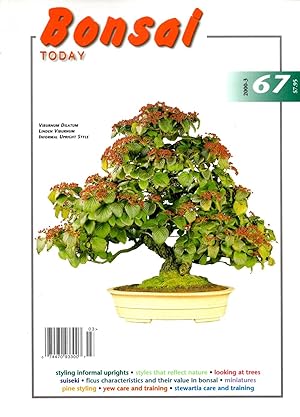 Seller image for Bonsai Today Number 67 May-June, 2000 for sale by Book Booth