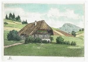 Bauernhaus in hügliger Landschaft (Schwarzwald).