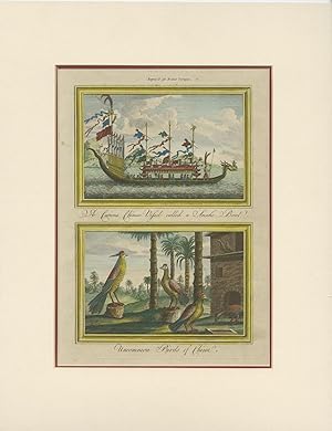 Antique Print of a Chinese Vessel and Chinese Birds by E. Drake (1768)