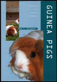 Guinea pigs.